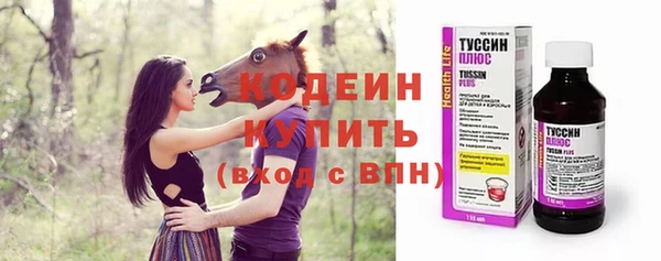 СК Кукмор