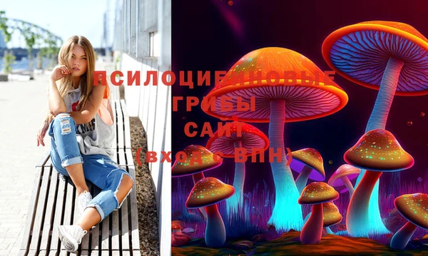 герыч Кулебаки