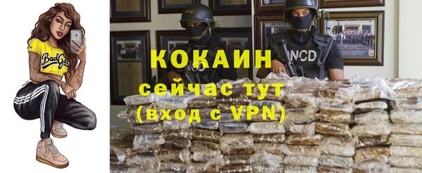 крисы Куйбышев