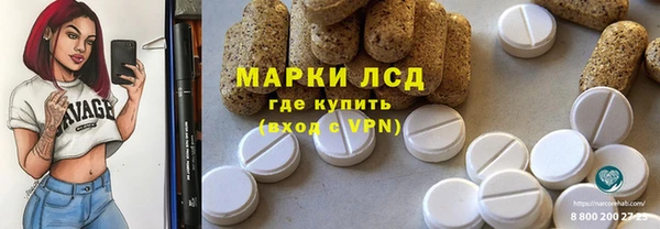 СК Кукмор