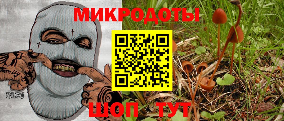 Псилоцибиновые грибы Psilocybe Узловая